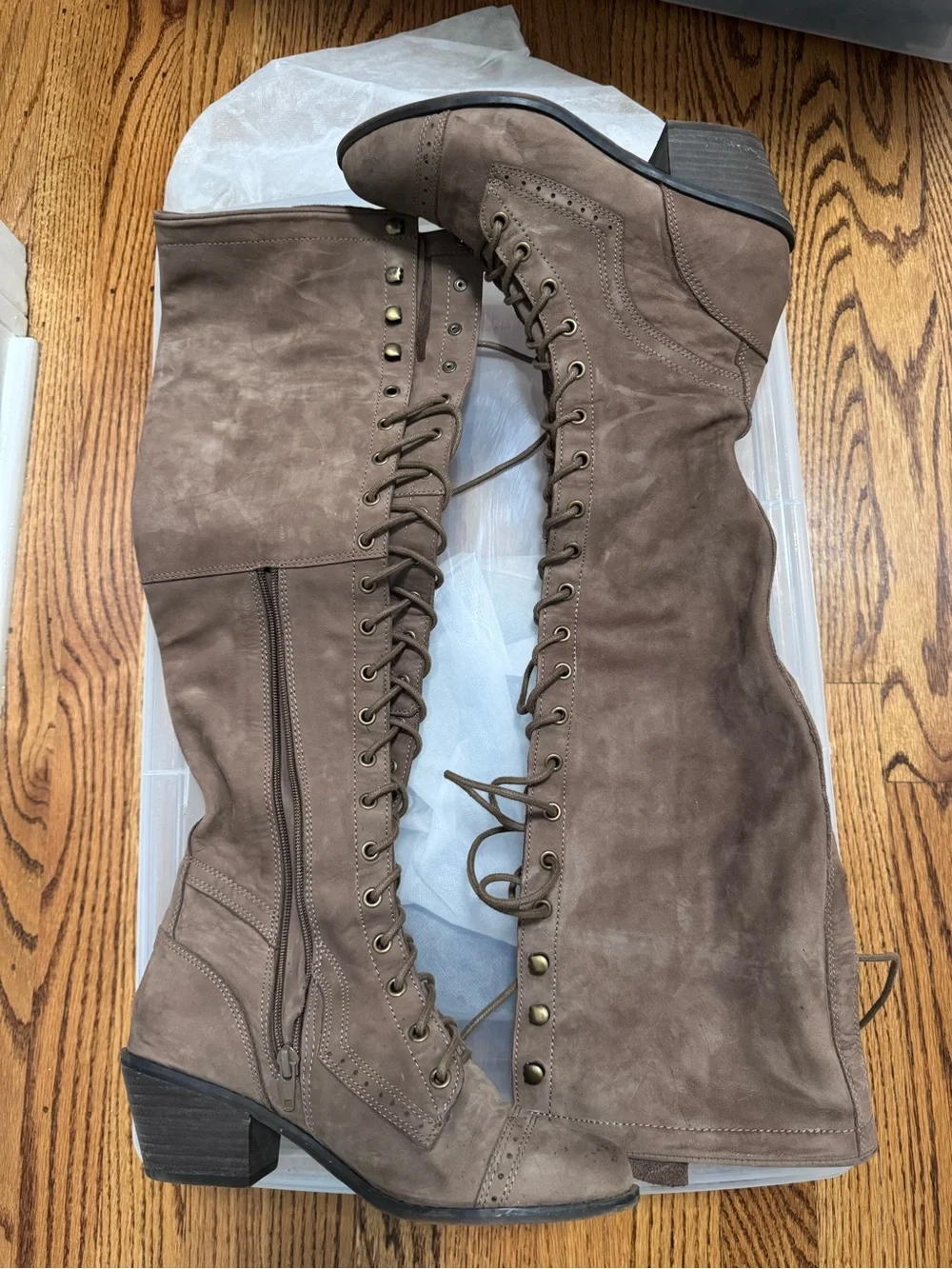 Jeffrey Campbell jeffrey campbell